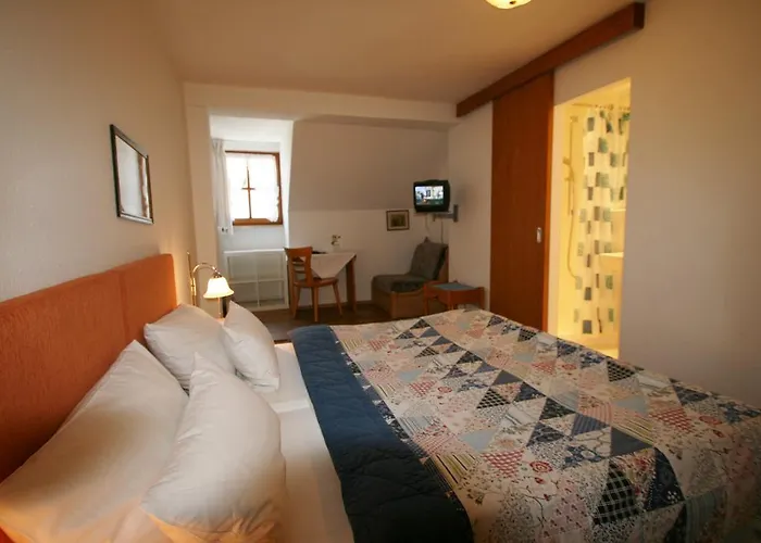 Hotel-gasthof Rose 酒店 2*